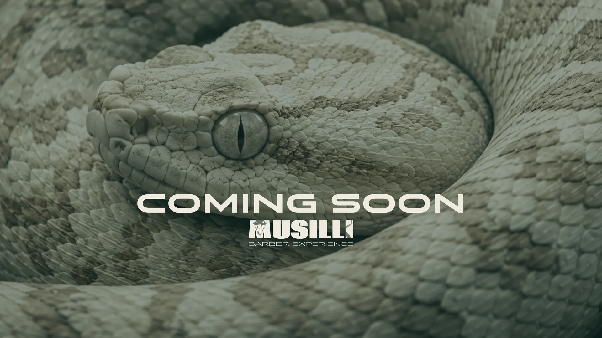 Coming soon · Musilli Barber Experience, Nettuno